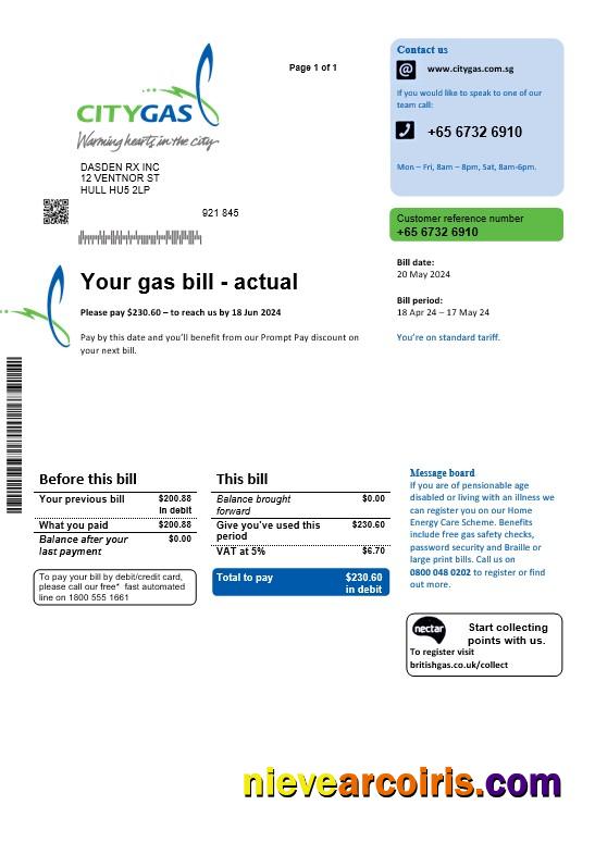 Singapore City Gas business utility bill